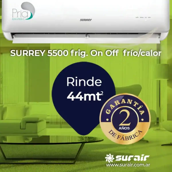 Split Surrey Inverter Smart 5500